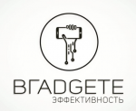 Логотип cервисного центра Вгаджете